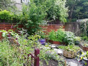 Garden 1 at Bonobo Cafe in Aberdeen