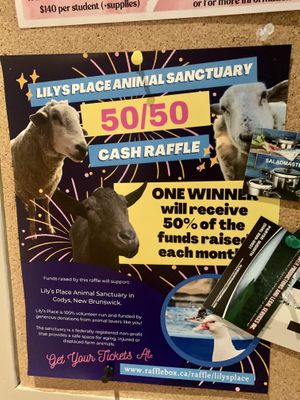   at Abbey Cafe and Gallery in Fredericton