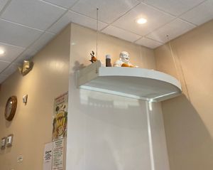   at Pine Forest Garden in Houston