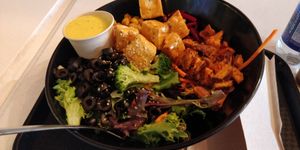  at Copper Branch - Mont-Royal in Montreal