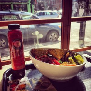 Copper Branch - Mont-Royal at Copper Branch - Mont-Royal in Montreal