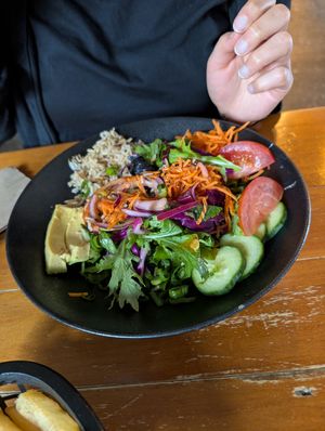 Salad Bowl at SnakeBite Brewery in Franz Josef Waiau