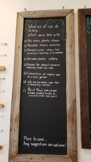 Environmental company at Under the Mango Tree in Miami Beach