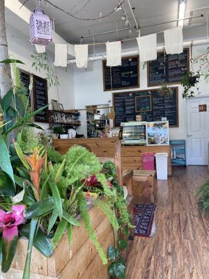 Interior at Under the Mango Tree in Miami Beach