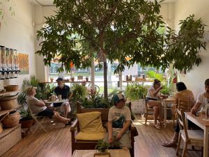 Under the mango tree  at Under the Mango Tree in Miami Beach