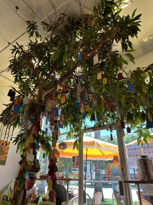   at Under the Mango Tree in Miami Beach