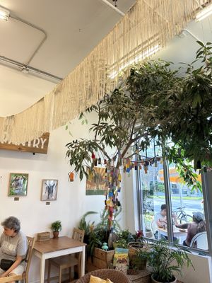   at Under the Mango Tree in Miami Beach