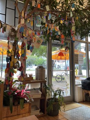   at Under the Mango Tree in Miami Beach