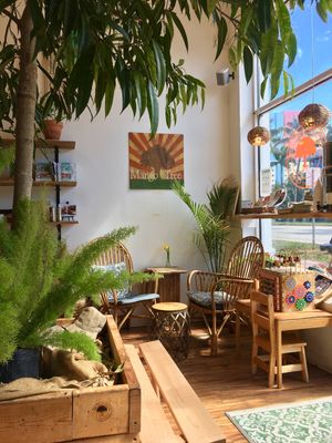 Cosy & inviting  at Under the Mango Tree in Miami Beach