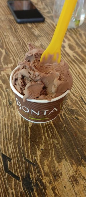 Chocolate coconut at Bonta Natural Artisan Gelato in Bend