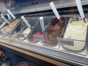 Labeled vegan   at Bonta Natural Artisan Gelato in Bend