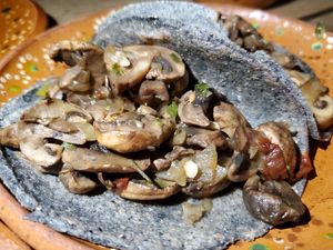 Mushroom taco at Yeikame in Sayulita