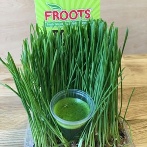 wheatgrass  at Froots in Miami