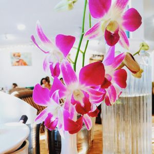 free drinking water at Zest in Palolem