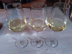 wine tasting at Zwei und Zwanzig in Geisenheim