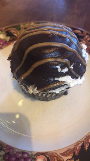 I loved this chocolate peanut butter cupcake  at Firefly Cafe and Outpost in Boyertown