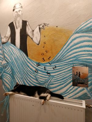 Aparaat's cat at Aparaat in Tartu