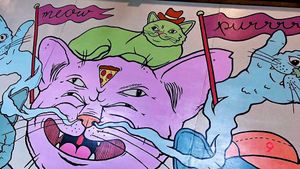 Wall at Blue Cat Cafe in Austin