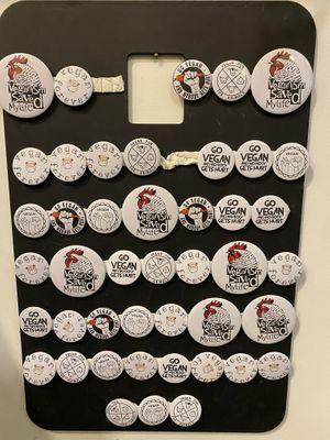 Pins at Vegan Dukkan - The Mini Market in Istanbul