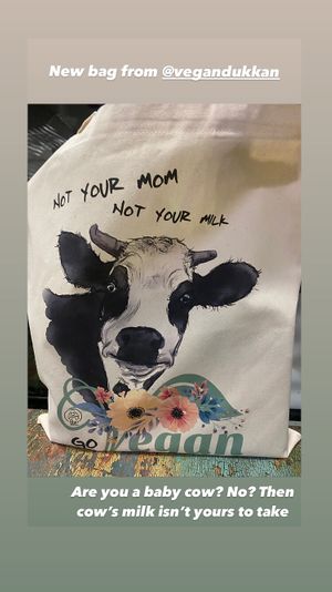 Vegan bag at Vegan Dukkan - The Mini Market in Istanbul