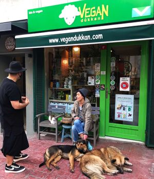 Storefront of Vegan Dukkan in Beyoglu, Cihangir. at Vegan Dukkan - The Mini Market in Istanbul