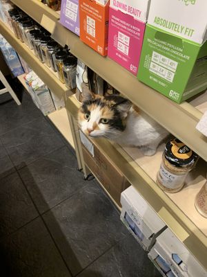   at Vegan Dukkan - The Mini Market in Istanbul