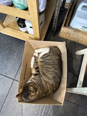   at Vegan Dukkan - The Mini Market in Istanbul