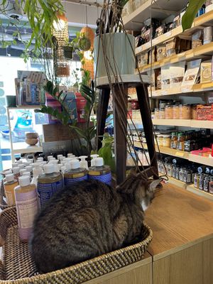 Inside  at Vegan Dukkan - The Mini Market in Istanbul