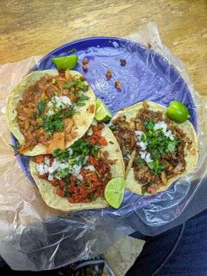  at Viko in Mexico City