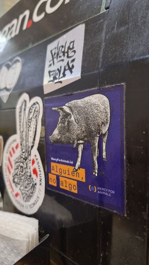 ¡Más factos! 👏🏻👏🏻👏🏻 at Viko in Mexico City