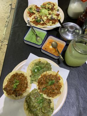 Tacos de tinga y mole verde.  at Viko in Mexico City
