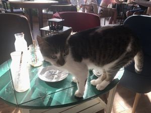 :) at Miau Cafe in Warsaw