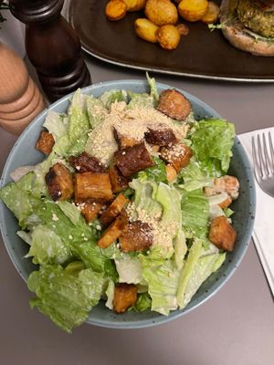 Main course - salad  at Vegan's Prague in Prague