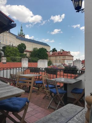  at Vegan's Prague in Prague