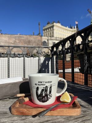   at Vegan's Prague in Prague