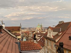 View   at Vegan's Prague in Prague