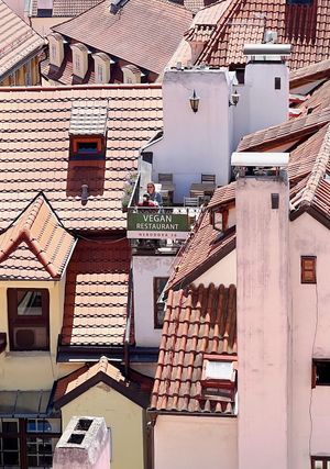  at Vegan's Prague in Prague