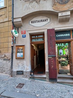  at Vegan's Prague in Prague