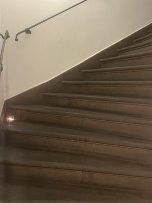   at Vegan's Prague in Prague