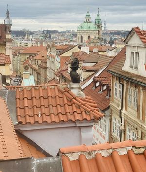   at Vegan's Prague in Prague