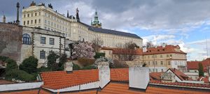 View of Prague castle from the rooftop at Vegan's Prague in Prague