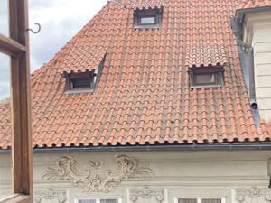   at Vegan's Prague in Prague