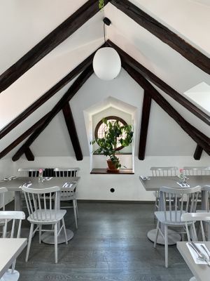   at Vegan's Prague in Prague