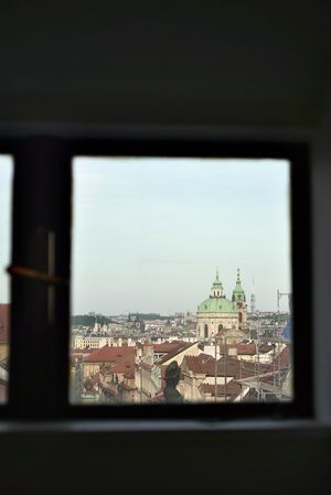   at Vegan's Prague in Prague