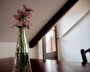 Lovely interior, very cozy  at Vegan's Prague in Prague