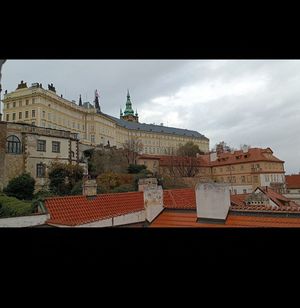  at Vegan's Prague in Prague