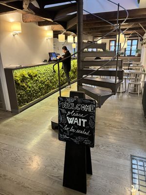   at Vegan's Prague in Prague