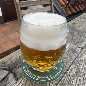 Non  at Vegan's Prague in Prague