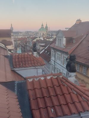 Rooftop view at Vegan's Prague in Prague