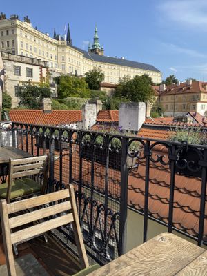   at Vegan's Prague in Prague